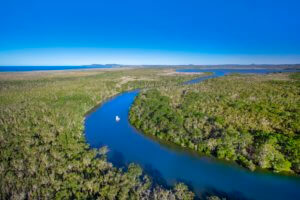 Everglades aerial
